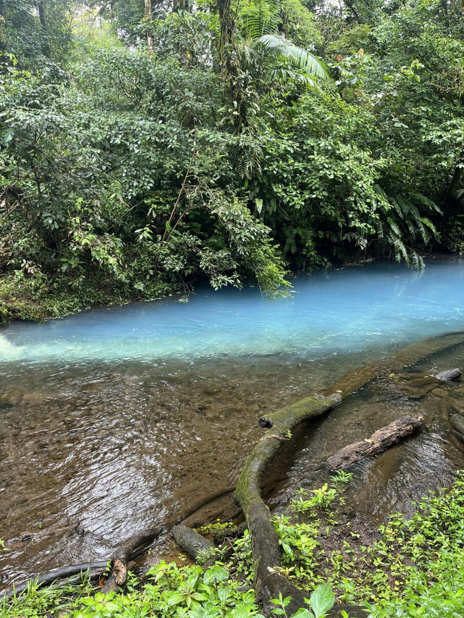 Kakao Lodge & Garden Rio Celeste Bijagua de Upala Exterior foto