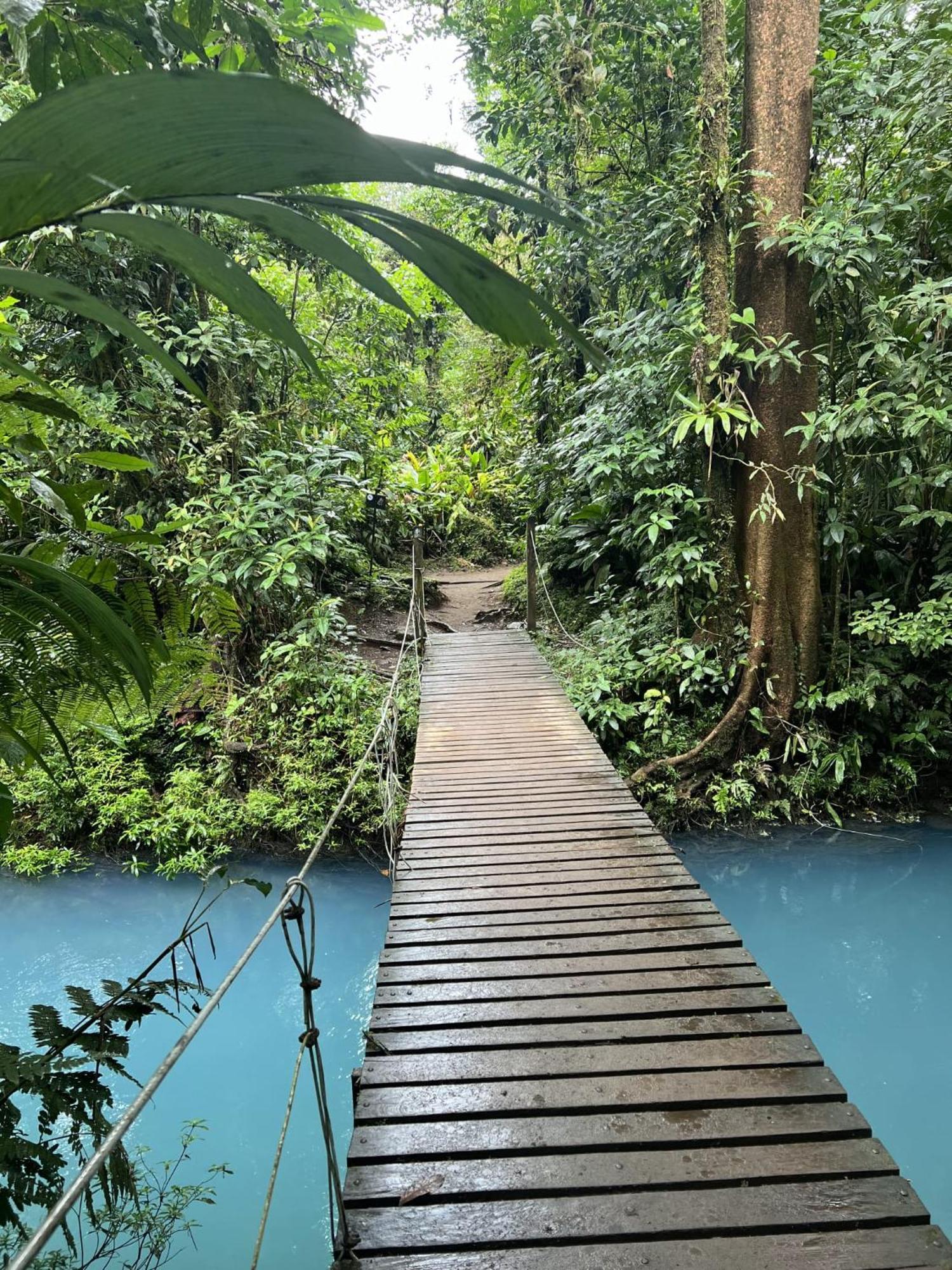 Kakao Lodge & Garden Rio Celeste Bijagua de Upala Exterior foto